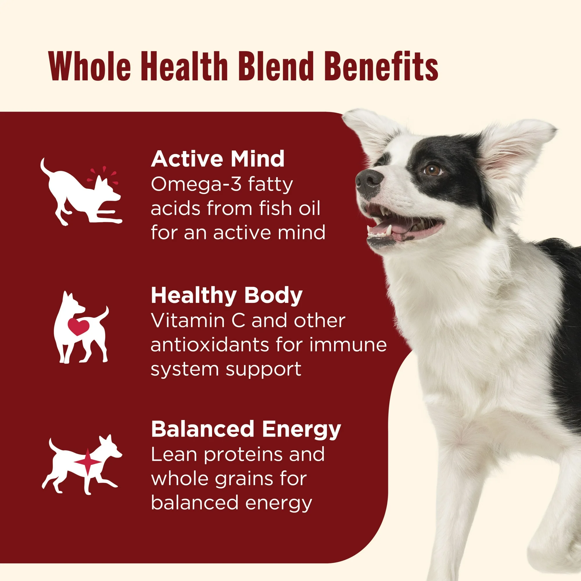 Rachael Ray Nutrish Natural Dry Dog Food, Real Beef, Pea & Brown Rice Recipe, 6 lbs - 图片 4